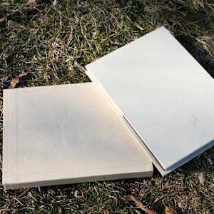 Untitled by Sophia Chen 