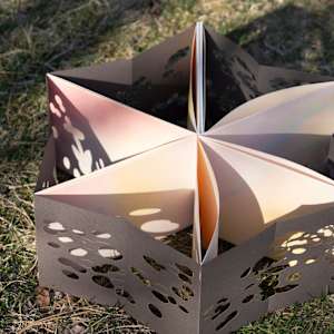 Untitled by Sophia Chen 