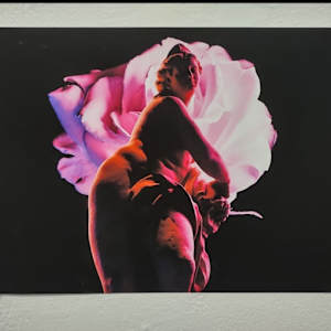 Aphrodite by Nikiya Wesley 