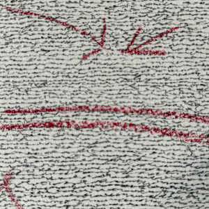 Write Your Own Constitution by Vincent Hawley 