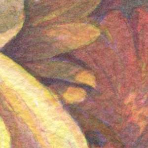 Sign of Hope by Lois Kilberg 