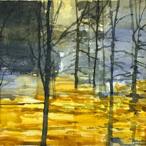 Coastal Fog by Robert Baart