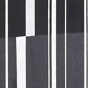 barcode black and white by Sue Yang 