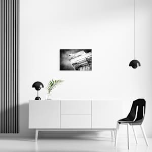 ATH25003 by Cat Dabilis 