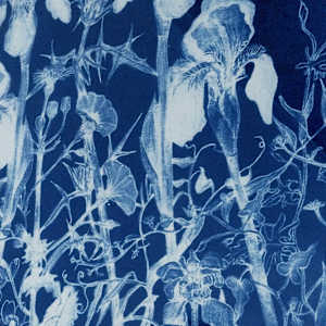 May Four Times by Judith Allen-Efstathiou 