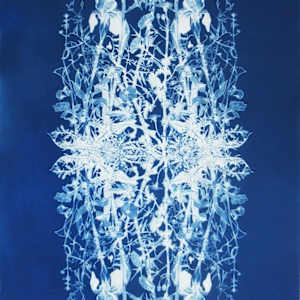 May Four Times by Judith Allen-Efstathiou