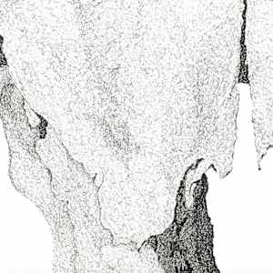 Fragility by Steven Buduo 