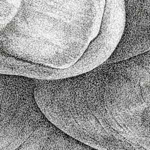 9 Months of Building by Steven Buduo 