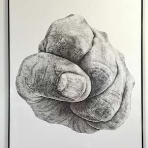 9 Months of Building by Steven Buduo 