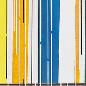 Barcode 2 layers by Sue Yang 