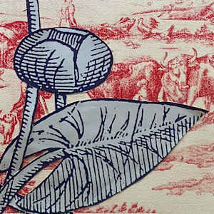 Chintz Eaters by Rachel Sydlowski 