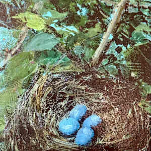 Robin's Blue by Margaret Fischer Dukeman