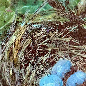 Robin's Blue by Margaret Fischer Dukeman 