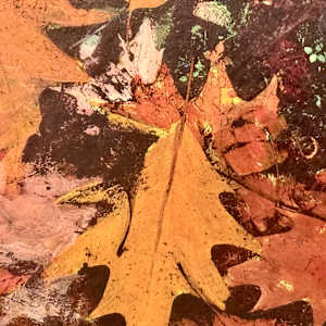 Passing of Time by Margaret Fischer Dukeman, Image 2.