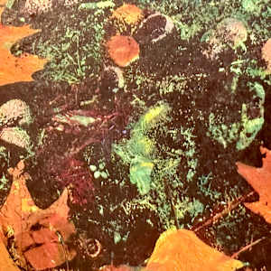 Passing of Time by Margaret Fischer Dukeman, Image 4.