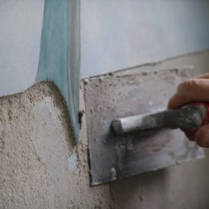 Dolphin Fresco Installation by iLia Fresco