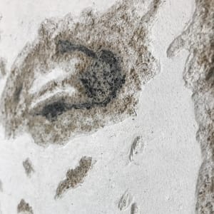 Man With A Beard I by iLia Fresco 