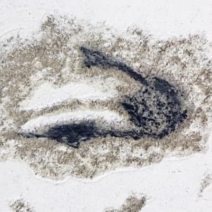 Man With A Beard I by iLia Fresco 