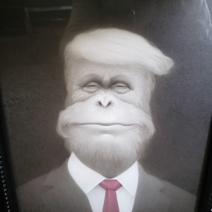 "Orangutang Trump"  by Travis Louie