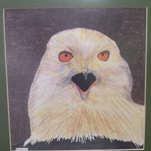 Bald Eagle in colored pencil by Lynn J. Poyer