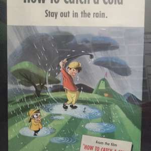 How to Catch a Cold - posters 