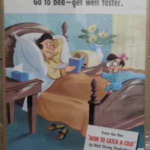 How to Catch a Cold - posters 