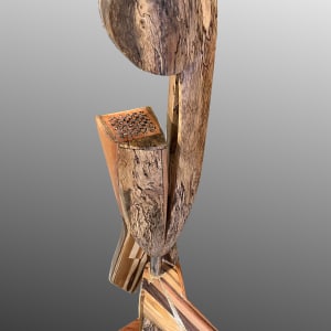 Avian Gamester by Charles Wright  Image: Avian Gamester (view6)