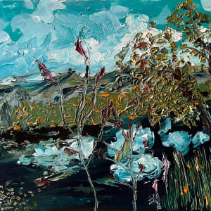 Lake Washinee, Connecticut by Henk Jonker, Image 1.