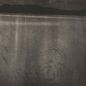 Being in the Land (Coming into this World) by Robyn Moore  Image: Detail