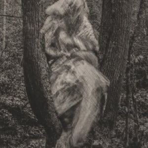 Being in the Land (Lamentation) by Robyn Moore  Image: Detail