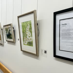 Wild Garden by Tina Ellis  Image: On display at Pen Bay Medical Center December 12, 2023 through February 9, 2024