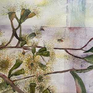 Bush Blossom by Susan Wellingham