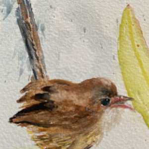 Valley Magnolia and Wren by Susan Wellingham 