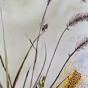 For the Love of Honey by Susan Wellingham 