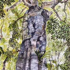 Ancient Mother by Susan Wellingham 