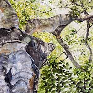 Ancient Mother by Susan Wellingham 
