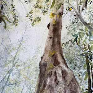 A Place to Be by Susan Wellingham