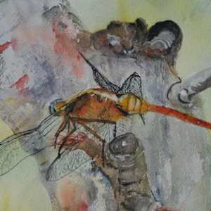 Taking Flight by Susan Wellingham 