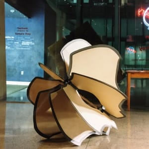 Central Library by Tamara Dimitri