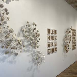 Intersecting Horizon series at the Crown Gallery, Metro Art Studios by Tamara Dimitri