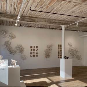 Installation at the Crown Gallery, Metro Art Studios by Tamara Dimitri