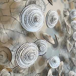Geological Study of Intersecting Horizons by Tamara Dimitri 
