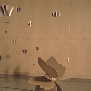 Taciturn by Tamara Dimitri