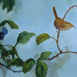 Wrens and Blackberries by Floy Zittin