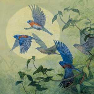 Bluebird Flock by Floy Zittin