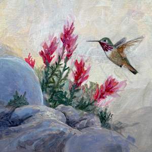 Calliope and Tortoiseshell by Floy Zittin, Image 1.