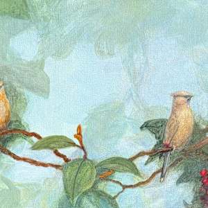 Cedar Waxwing Parade by Floy Zittin, Image 1.