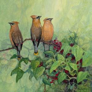Cedar Waxwing Trio by Floy Zittin