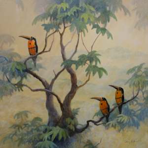 Collared Aracari by Floy Zittin