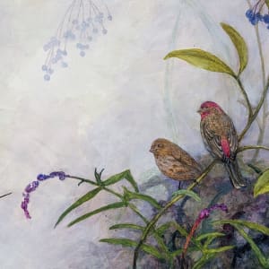 House Finch and Elderberry by Floy Zittin